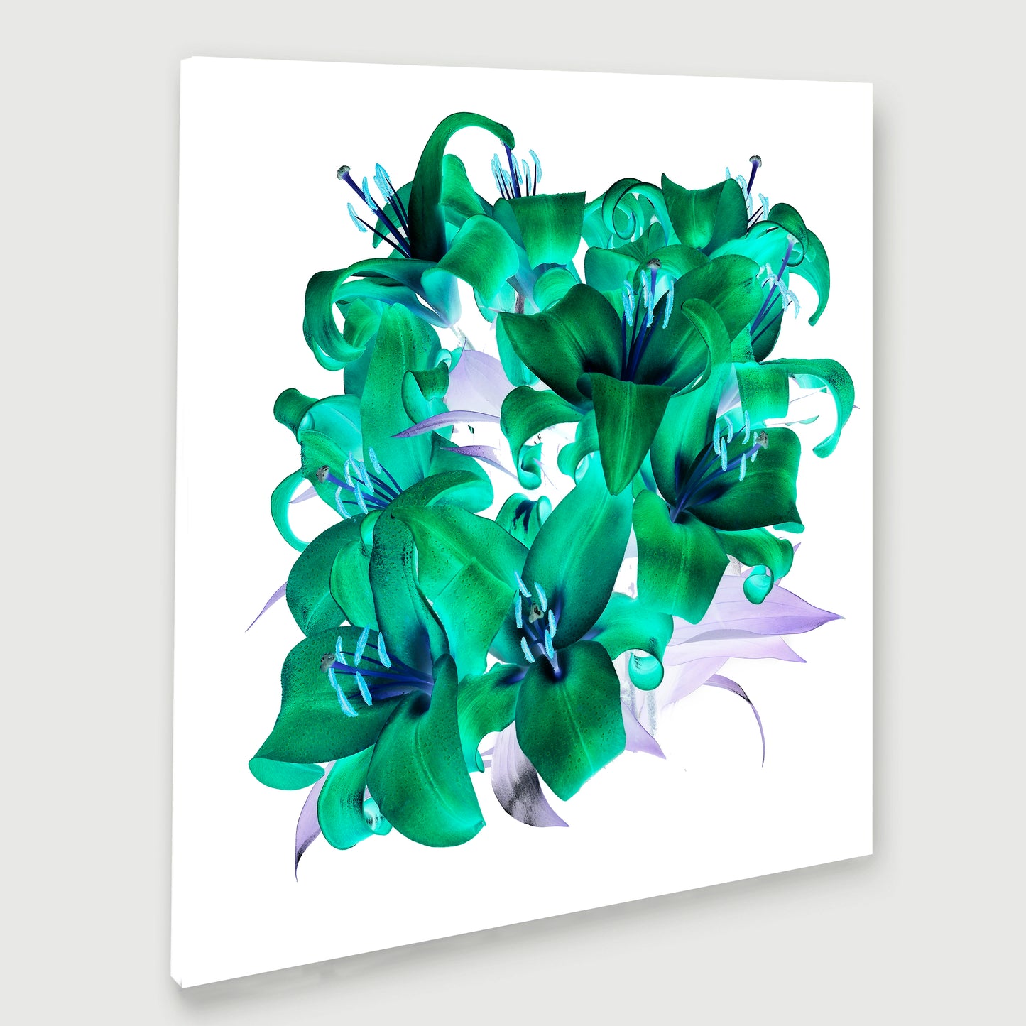 Circular Harmony - Limited Edition Canvas Print Square