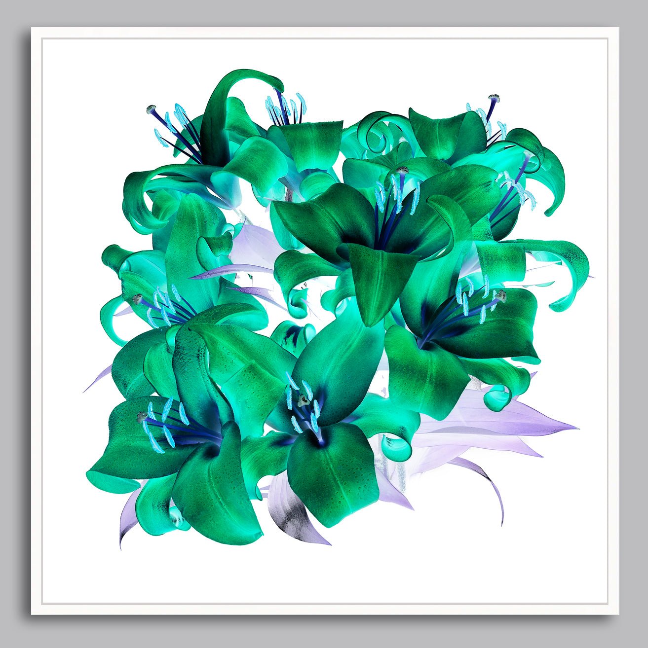 Circular Harmony - Limited Edition Canvas Print Square