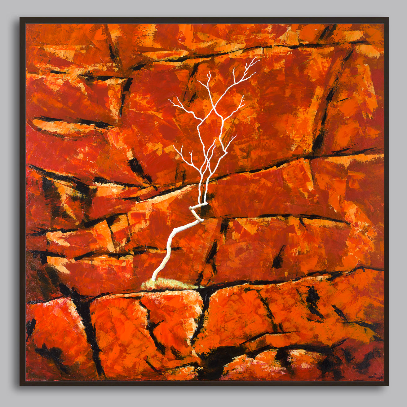 Clinging On - Limited Edition Canvas Print Square