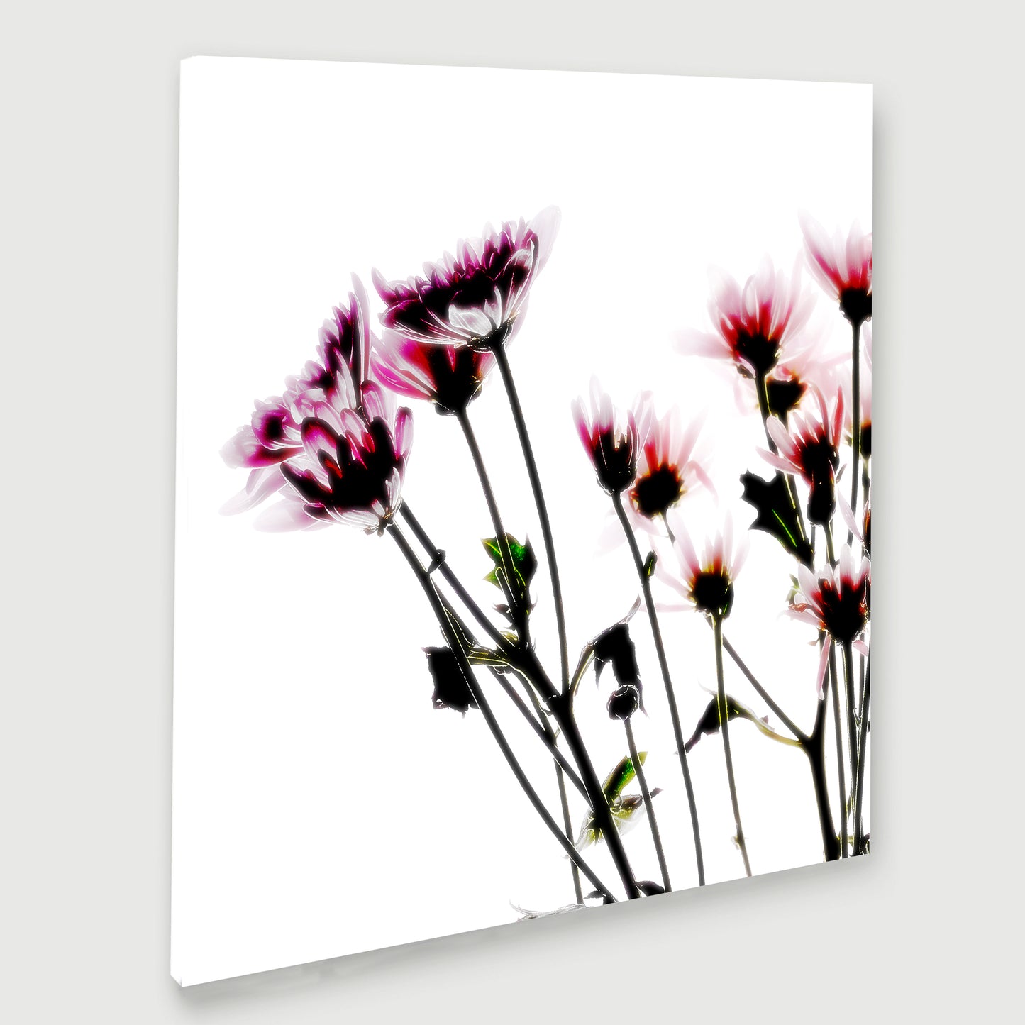 Ethereal Bloom - Limited Edition Canvas Print Square