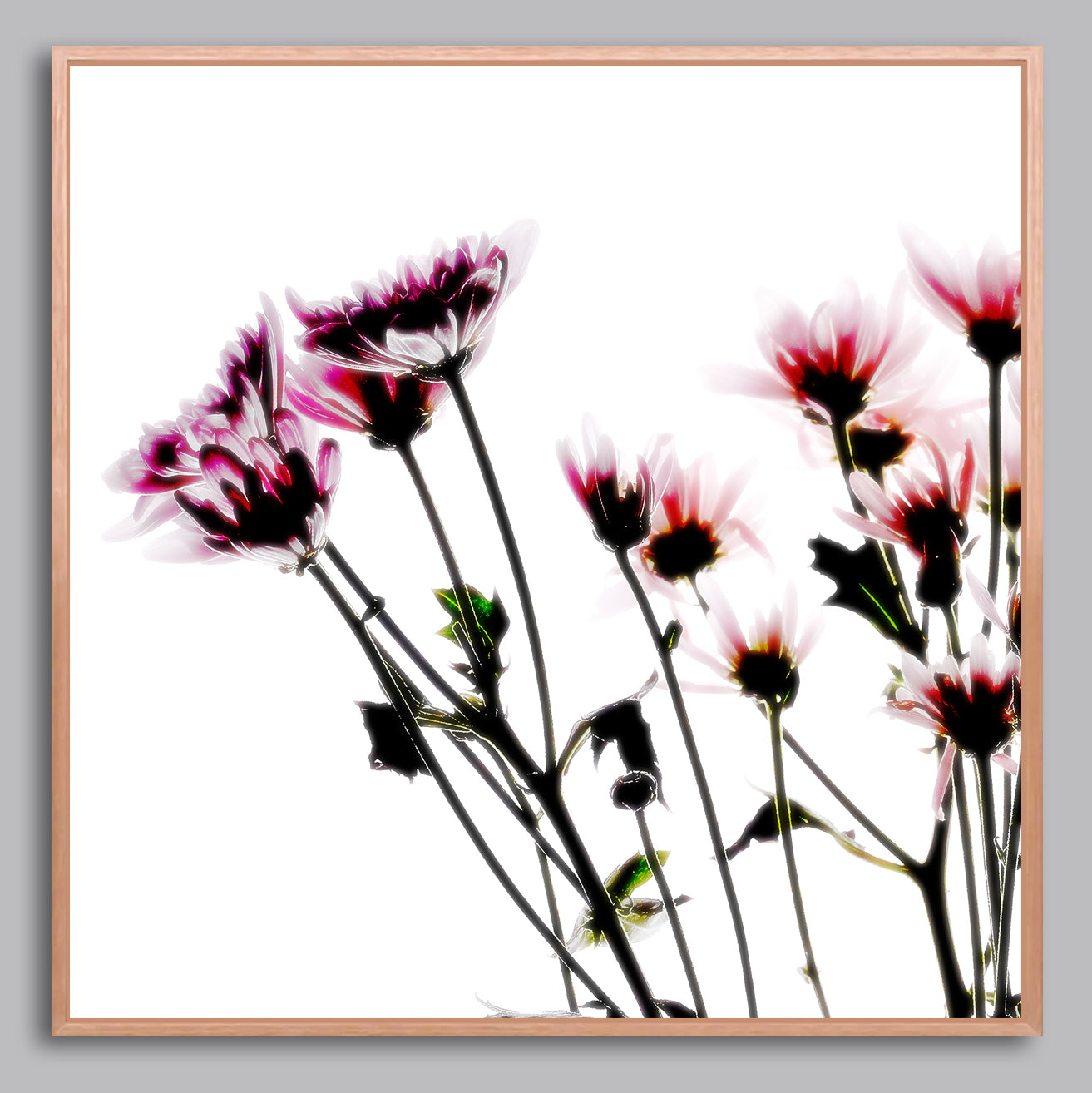 Ethereal Bloom - Limited Edition Canvas Print Square