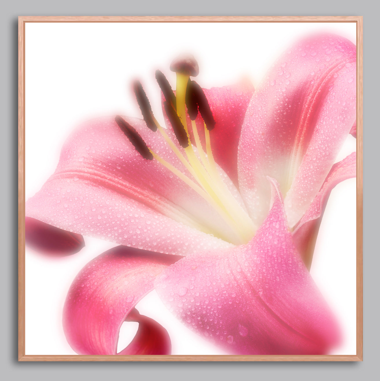 Radiant Blossom - Limited Edition Canvas Print Square
