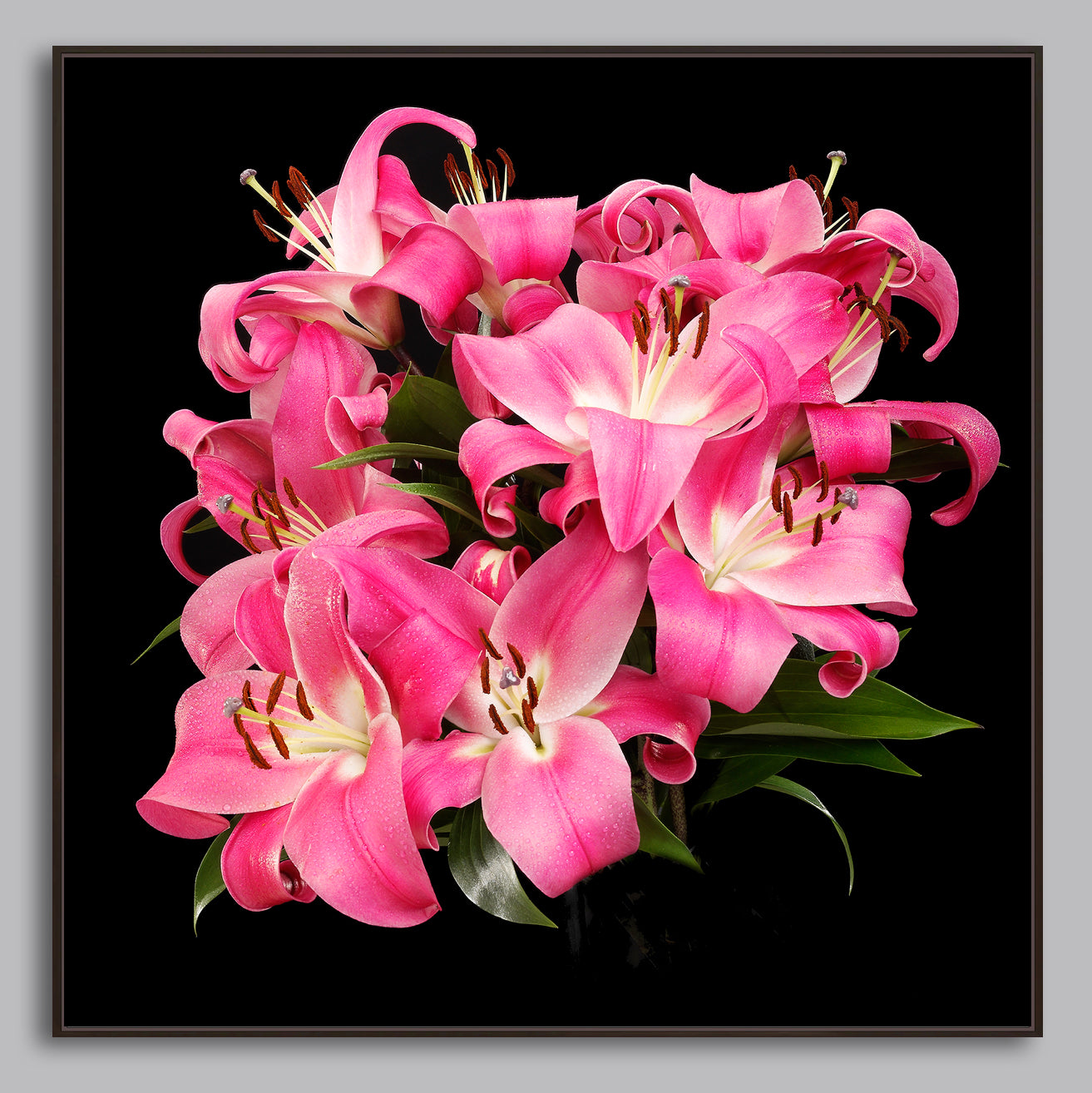 Velvet Elegance - Limited Edition Canvas Print Square